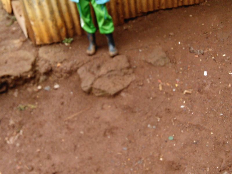 img 20160404 091939   img 20160404 091939